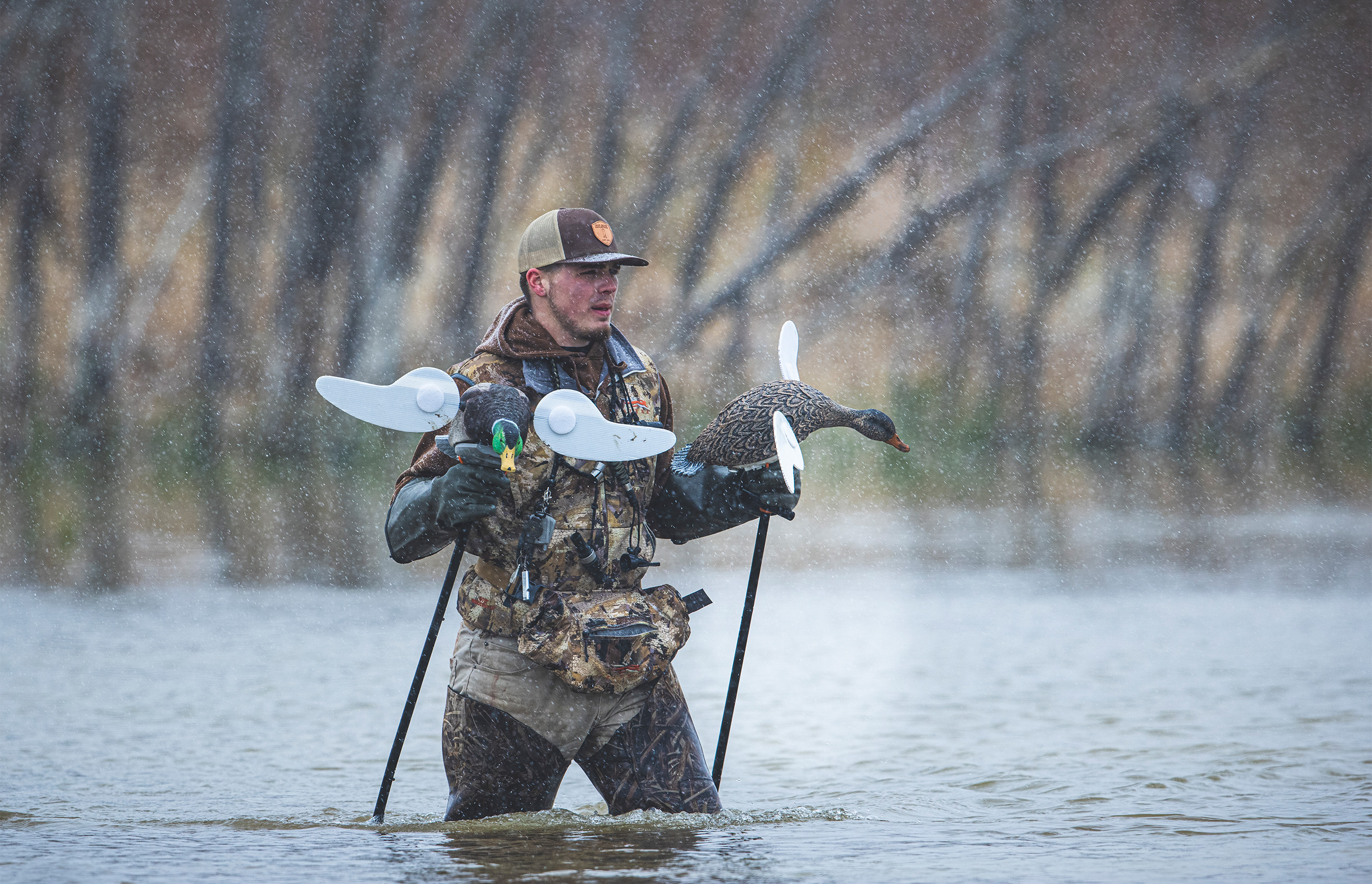 Improving Your Hunting Strategies Gear As Mallards Get Smarter 