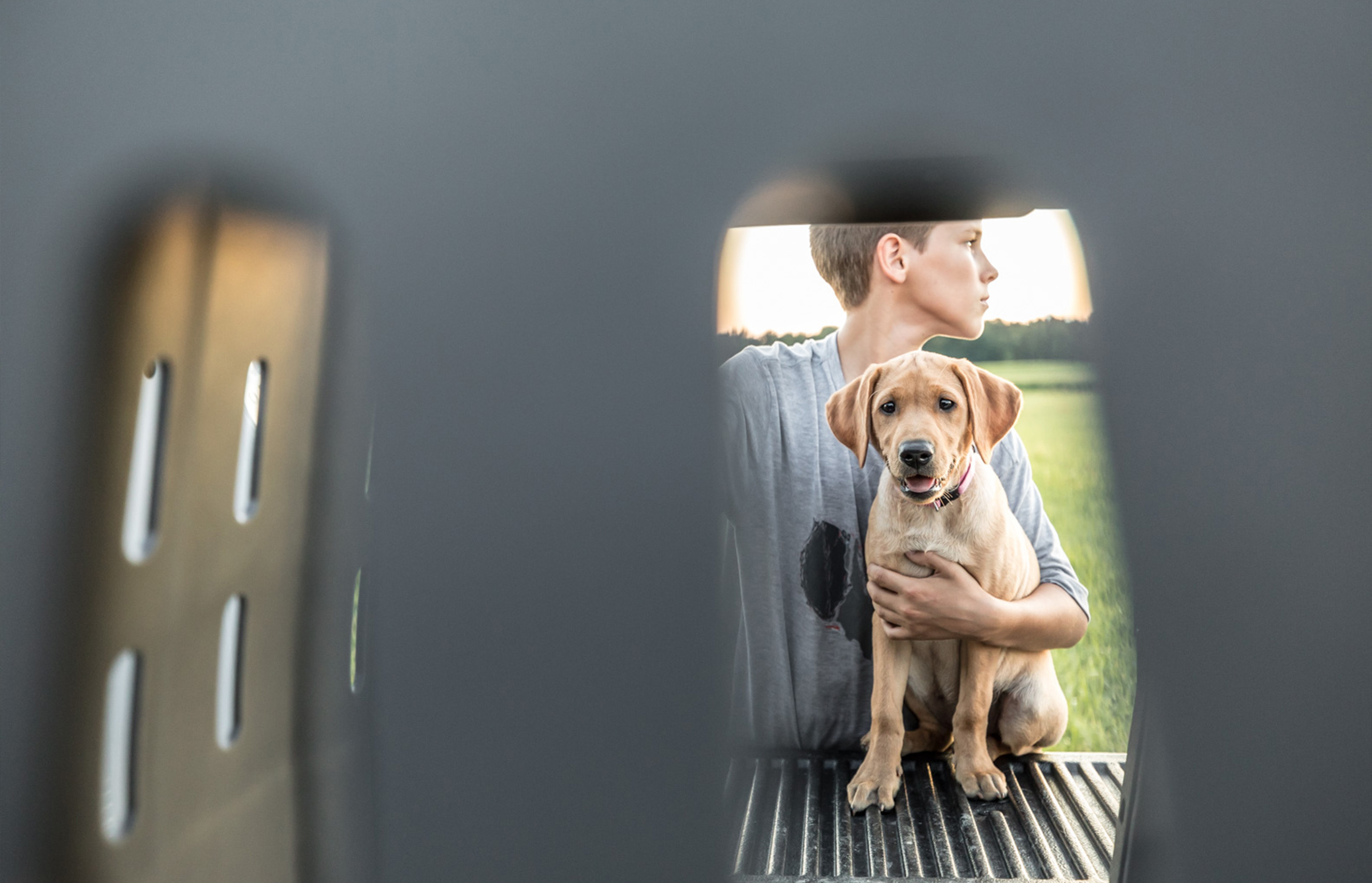 ludu-bring-your-puppy-home-3.jpg