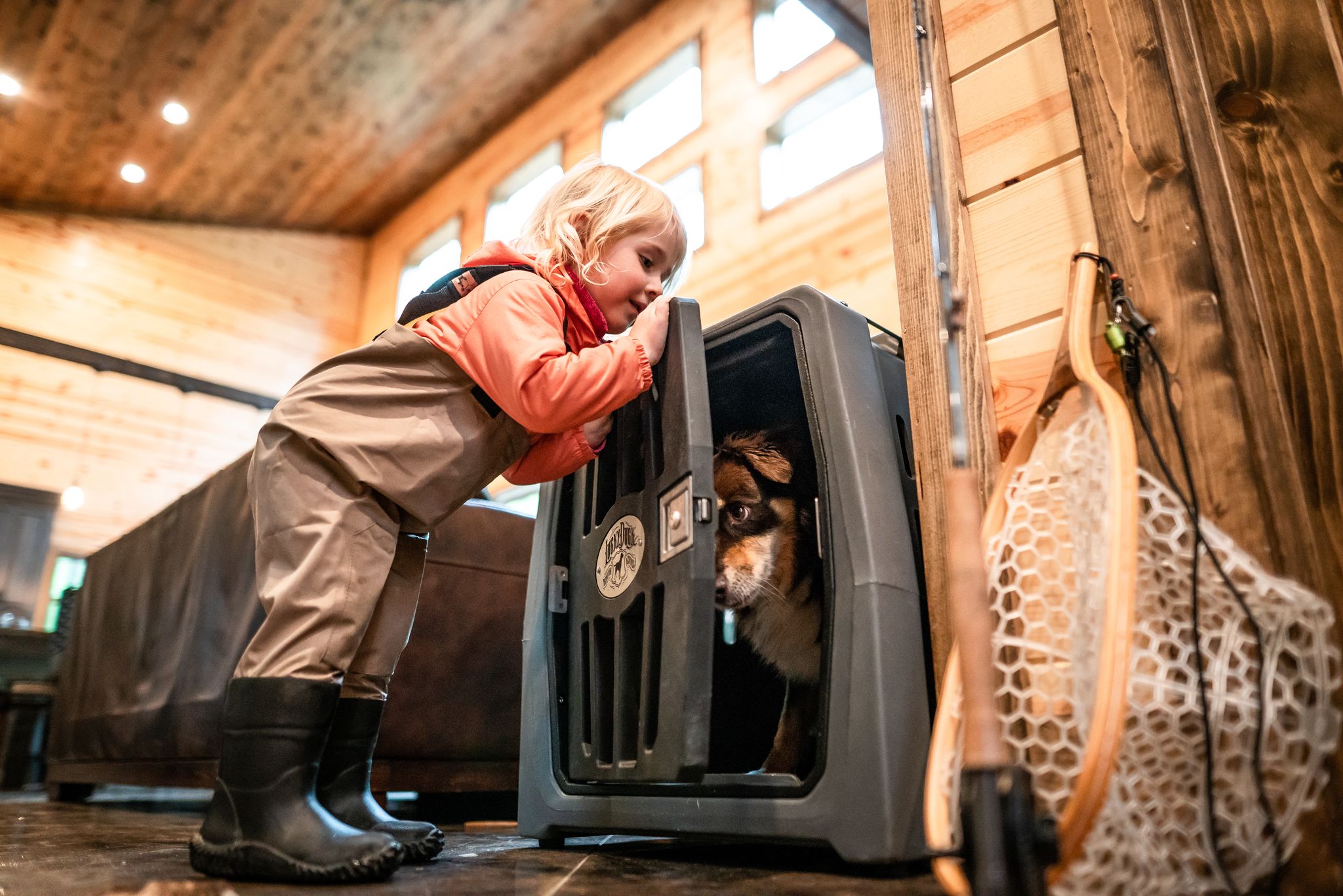 My Favorite Features of the Lucky Kennel Lucky Duck Decoys